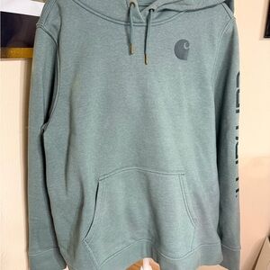 Carhartt Men's Sage Hoodie